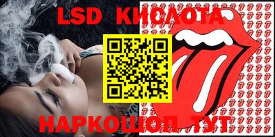 СК Камышлов