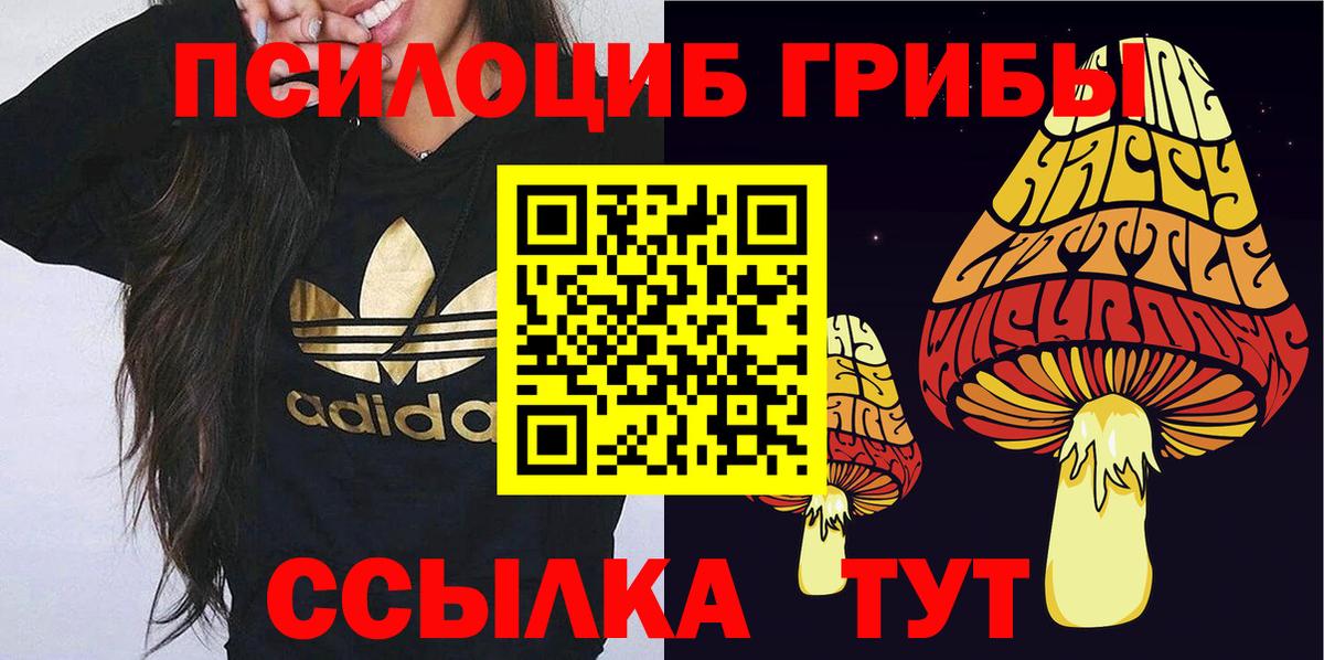 Галлюциногенные грибы прущие грибы Топки
