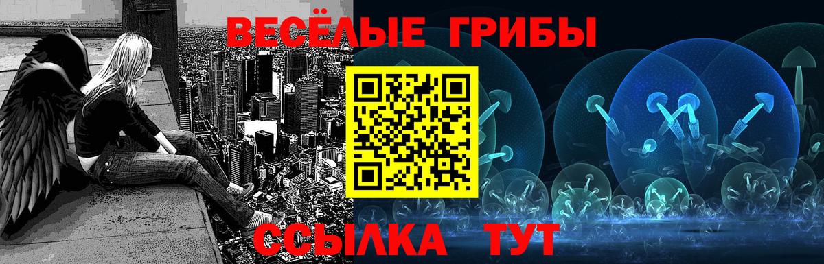 Топки  Псилоцибиновые грибы прущие грибы  даркнет сайт  Вход с VPN 